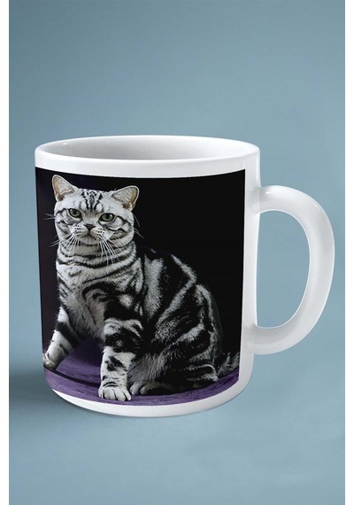 American Shorthair Kedi İsimli Kişiye Özel Baskılı Kupa Bardak Mor Tablo Çok Renkli