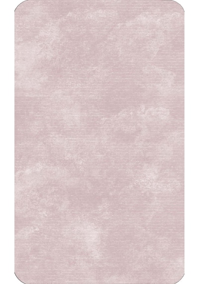 Rovigo Home Baskılı Kaymaz Taban 2 Li Banyo Paspas Takım Rvg5214-100X60-60X50 Pudra