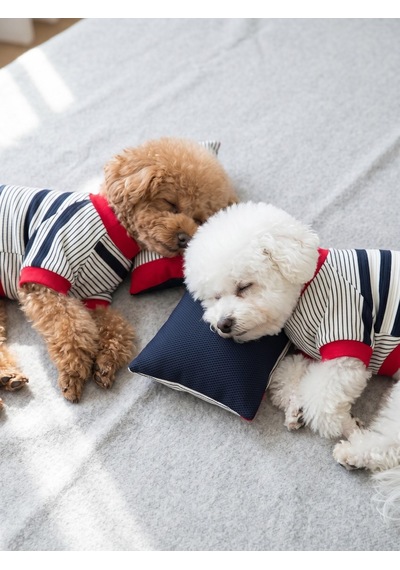 Yacht Club Marin Çizgili Köpek Uyku Takımı Lacivert Kırmızı Pamuklu Köpek Tulumu Ve Mini Yastık Küçük Irklar İçin