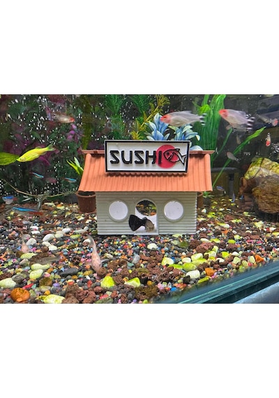 Sushi Evi - Akvaryum Dekoru - Kahverengi