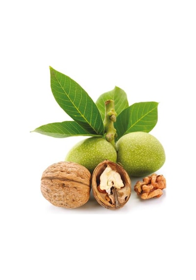 Yeşil Ceviz 3 KG