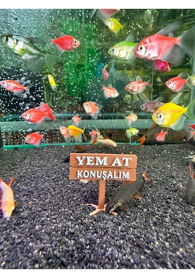 Akvaryum Tabela Dekoru Yem At Konuşalım 4.5x5 Cm Suya Batan Model Tbl-45-yem, One Size