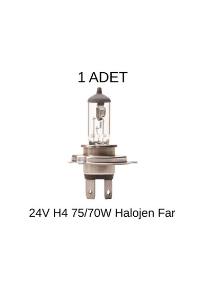 Ampul 24v H4 75/70w Halojen Far Ampulü Tırnaklı Ağır Vasıta Tır Kamyon Otobüs Uyumlu Inwells Inw005 001