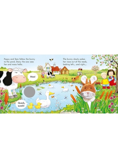 Poppy and Sam and the Bunny