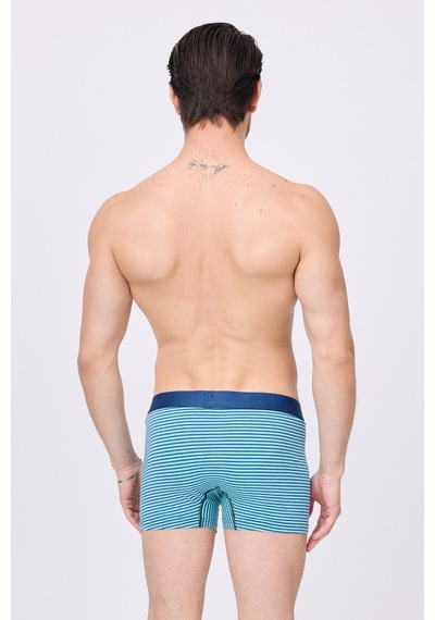 L'espadon Maritime Elite Erkek Boxer Şort -3111 Turkuaz
