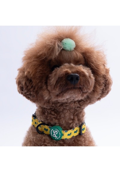 Cactus Kaktüs Desenli Köpek Boyun Tasması Ayarlanabilir Köpek Tasması Sarı