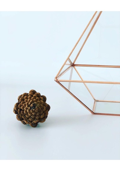 Dekoratif Cam Fanus - Geometrik Cam Fanus - Teraryum Cam Fanus (489240998)