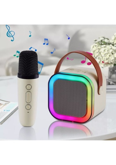 Kablosuz Rgb Işıklı Taşın Bilir Karaoke Hoparlör Ve Mikrofon Seti