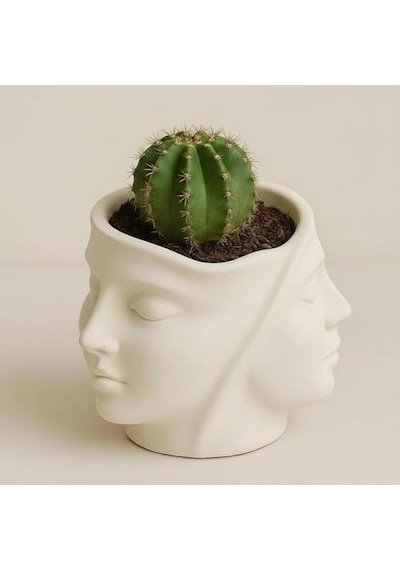 Dekoratif Yüz Saksı Taş Tozu Sukulent Saksısı, Modern Minimalist Masa Dekoru, El Yapımı Sukulent Saksı, Kalemlik & Makyaj Fırçası Organizer, 11 Cm
