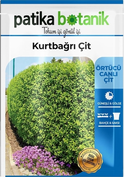 10 Adet Kurtbağrı Çit Ağaç Tohumu