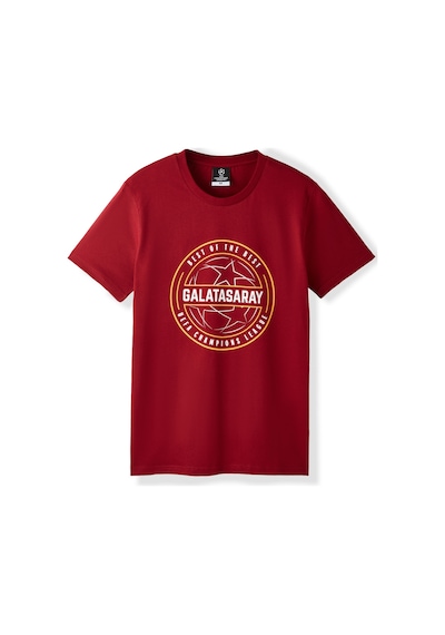 Gsstore Galatasaray Ucl Erkek T-shirt E252217 Bordo