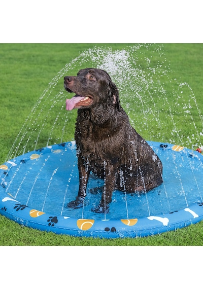 Bestway 52699 Fetchin' Fun Evcil Hayvan İçin Su Oyun Matı
