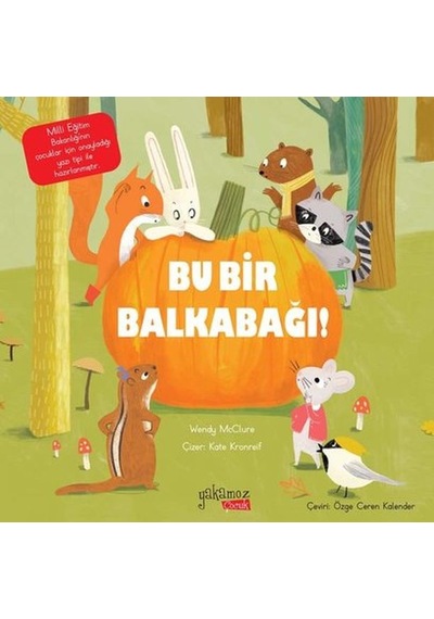 Bu Bir Balkabağı - Qhdh-896829