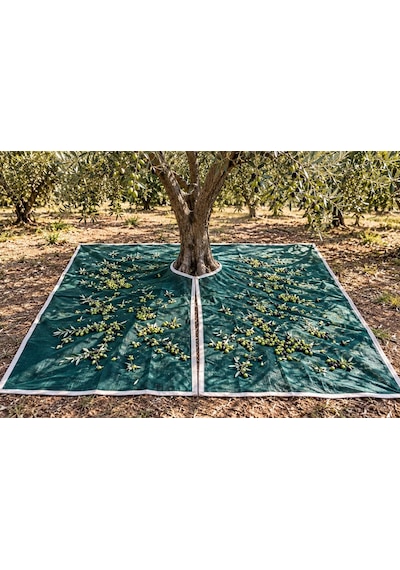 Zeytin Toplama Filesi - Ağaca Geçirmeli %75 lik Şeritli Halkalı -Zeytin Sergenlik Yeşil