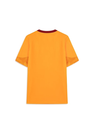 Puma Galatasaray 25/26 A Takım Antrenman Forması Sarı