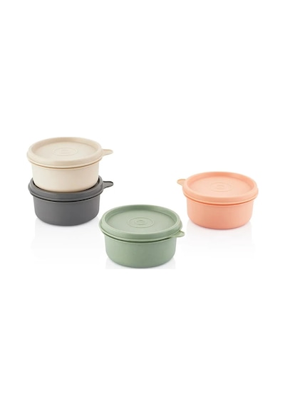 Bayev 4'lü Mini Saklama Kabı Kapaklı Set