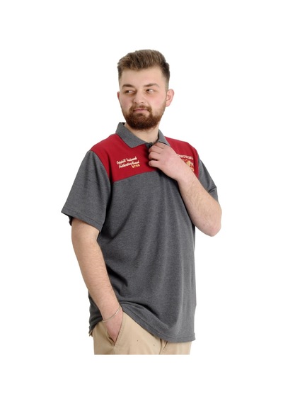 Mode Xl Büyük Beden Erkek T-Shirt Polo Chngyrmd 23328 Antramelanj 001