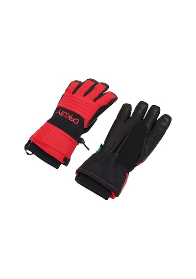 Oakley B1b Erkek Kayak/snowboard Kar Eldiveni Renkli Çok Renkli