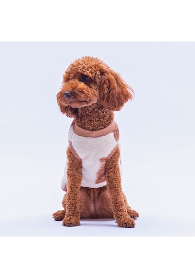Poodle Paw Peluş Sweat Poodle Desenli Kedi Köpek Sweati Kedi Köpek Kıyafeti Köpek Peluş Kolsuz Sweat Sıcak Tutan Süveter