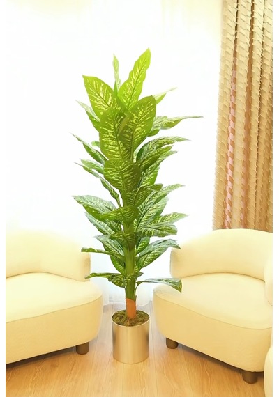 Rüzgar Yapay Çiçekçilik 170 Cm Difenbahya 25x25 Silver Saksı Yeşil