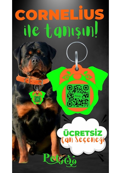 Petjoo 20.Cornelius Yeşil-Turuncu Qr'lı Köpek Künyesi