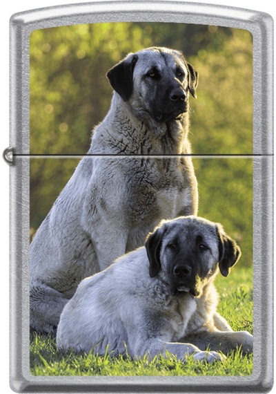 Zippo Kangal Dog Design Çakmak - 207-123524 Çok Renkli