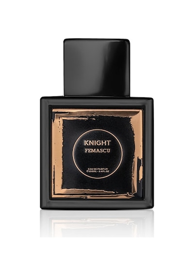 Femascu 6527 Knight Erkek Parfüm EDP 100 ML