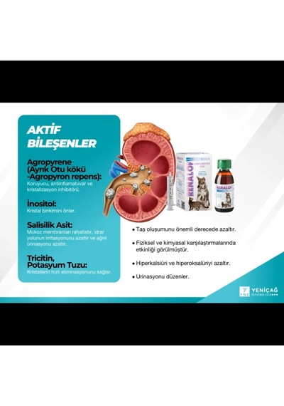 Catalysis Renf Pets 30 Ml- Kedi Ve Köpekte Böbrek - Idrar Yolu Taşları