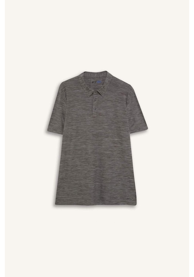 DeFactoFit Esnek Kumaş Standart Fit Polo Yaka Sporcu Kısa Kollu Tişört D9241AX25SPGR388