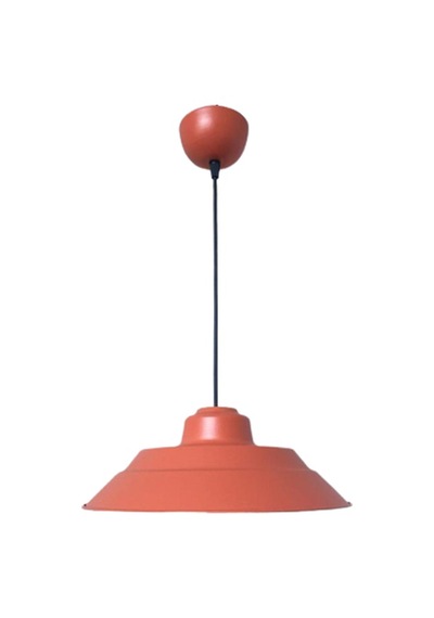 Rsylight Retro Metal Rustik Dekoratif Nar Çiçeği Tekli Sarkıt Avize Çap:29 Cm Beyaz