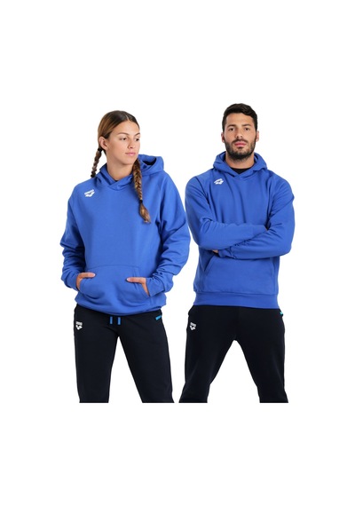Arena Team Hooded Sweat Panel Unusex Kapşonlu Mavi