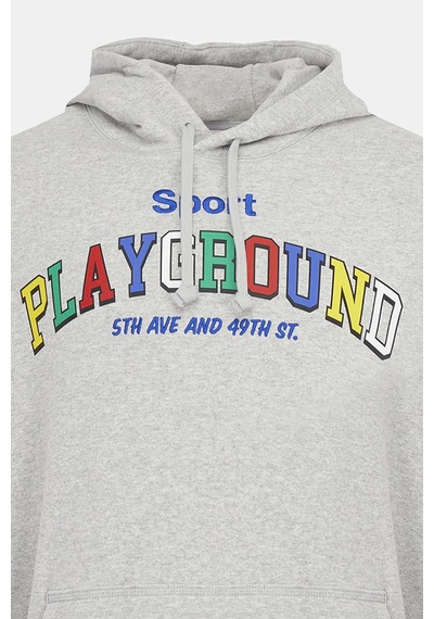 Puma Uptown Graphic Hoodie Erkek Gri Spor Sweatshirt Gri Gri