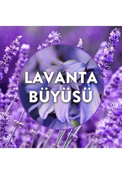 Elektrikli Yedek Lavanta Bahçesi