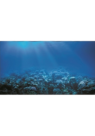 Kanki Pet 85 Cm Akvaryum Arka Fon Yapıştırma KP8550022