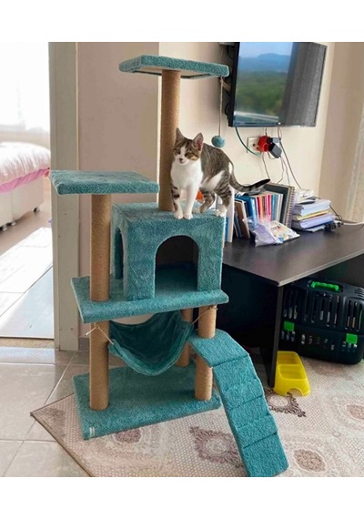 Reyo Pet B-07 Hamaklı Yuvalı Lüx Kedi Tırmalama Oyun Evi Turkuaz