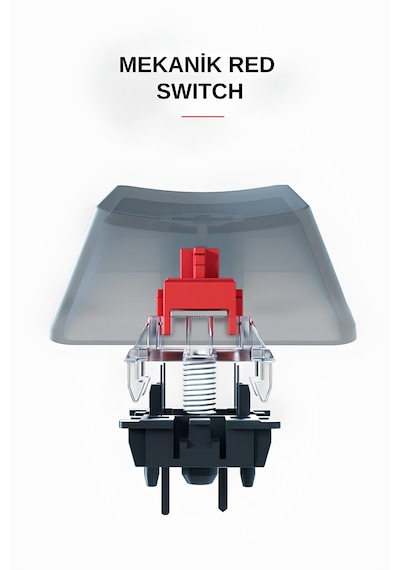 Briar Type-c Bağlantılı Rgb Puding Tuşlu Mekanik Red Switch Türkçe