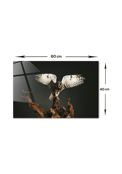 Decorita Hayvanlar | Cam Tablo | Baykuş - Kanatları Açık