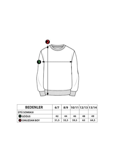 Toontoy Kids Toontoy Erkek Çocuk Arma Detaylı Sweatshirt Siyah