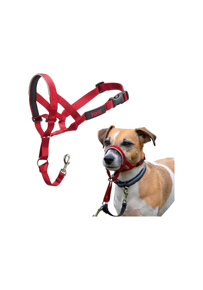 Company Of Animals Baş Tasması - Dolgulu Burun Bandı, Ayarlanabilir Ve Yansıtıcı, Küçük Köpekler İçin Profesyonel Çekme Önleyici Eğitim Yardımcısı Boyut 1, Kırmızı