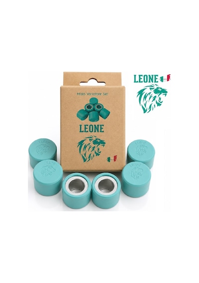 Leone Performans Varyatör Baga Seti 6'lı / 20x15 / 15 Gram - Fizy-dio-pcx-dylan-jüpiter 125-act 125