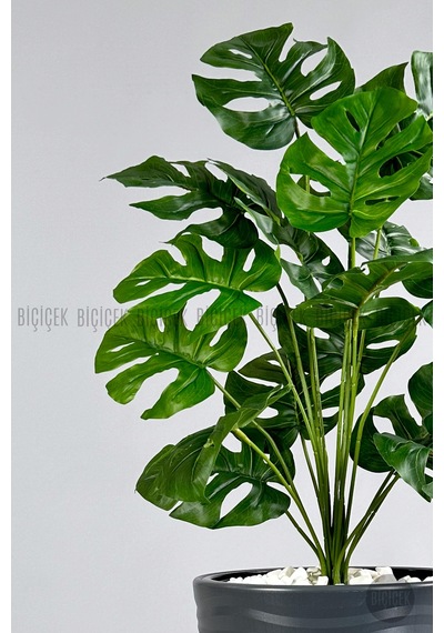 Biçiçek Yapay Monstera Deve Tabani Bi̇tki̇si̇ 130 Cm Antresi̇t Kumsal Saksıda