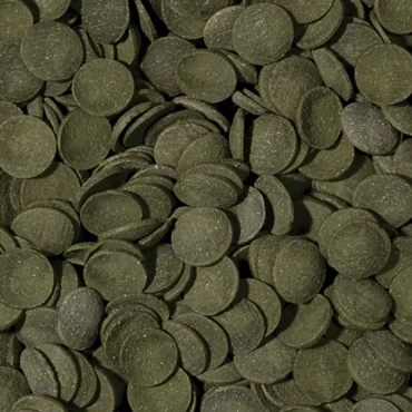 Tropical Green Algae Wafers 1000 Gram Kovadan Bölme