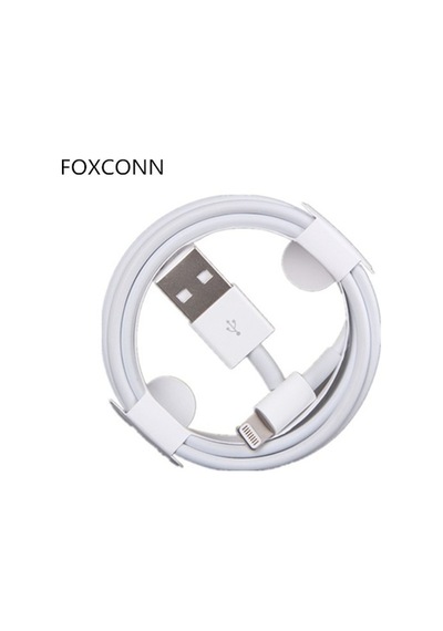 Foxconn Apple iPhone Uyumlu Lightning 5 6 7 8 Plus X Xs Ve Type C Hızlı Şarj Kablosu Lightning (Kutusuz)