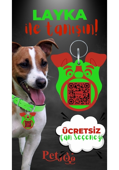 Petjoo 22.Layka Kırmızı-Yeşil Qr'lı Köpek Künyesi