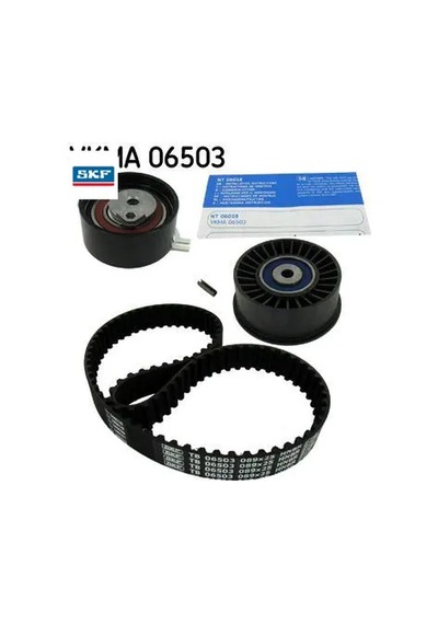 Eksantrik Rulman Kiti Master Iı 2.5 Dcı 7701472329 Skf Vkma 06503