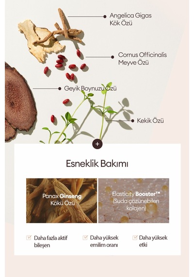 Bakım Sunan Nemlendirici Krem Fondöten Chogongjın Esence Pact 21c Spf50+/pa++++ 0