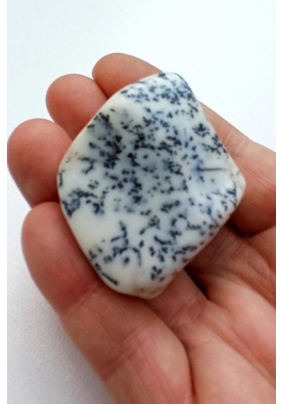 Merlinit Dendritli Opal Tamburlu Parça 133