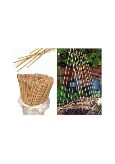 Bitki Destek Çubuğu Bambu 75 Cm 20 Adet