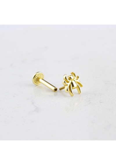 Glorria Altın Örümcek Tragus Piercing Altın
