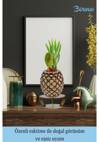 Ahşap Ayaklı Beton Saksı Büyük Boy 1 Adet Ananas Model - Altın Eskitme